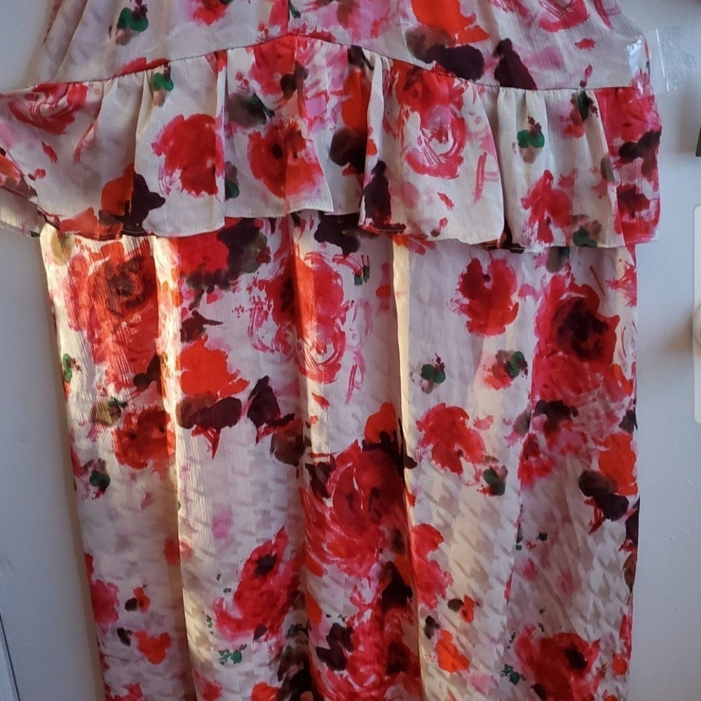 Taylor Floral Red and Pink Dress - Picture 4 of 7